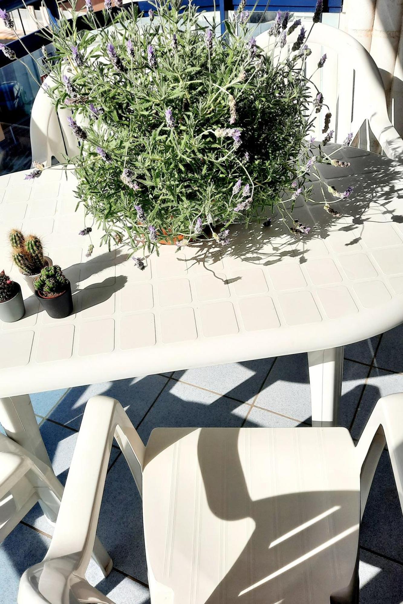 Sunny Apartment Daimus Δωμάτιο φωτογραφία